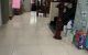 thum-8708555_QhjifnA3EB_1656291270.jpeg
