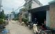 thum-8709777_M1aRdfpvPT_1656324661.jpg