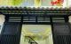 thum-m_JPYTvWglty_1656322341.jpg