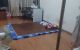 thum-8711762_qdYGArOmhL_1656403634.jpg