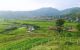 thum-8712216_6OkcEG8eW2_1656432835.jpg