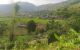 thum-8712216_LaxuBmgEkR_1656432864.jpg