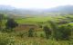 thum-8712216_NT9ndpCZ18_1656432847.jpg