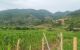 thum-8712216_aM7suY4v3o_1656432858.jpg