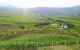 thum-m_OX3sUtaxPr_1656432828.jpg