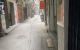 thum-m_QcgA3rqOmf_1656420135.jpg