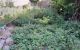 thum-m_USrBfEAoDW_1656402610.jpg