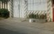 thum-8712973_QemrgPsuyc_1656468874.jpg