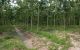 thum-8715376_9bNlEnUw3h_1656560250.jpg