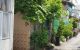 thum-8716421_JfIH4sQ1rM_1656604670.jpg