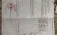 thum-m_qijOFXIlNJ_1656554699.jpeg