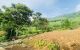 thum-8717215_aMJ3w7EnZe_1656639699.jpg