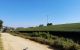 thum-8718152_udrzmN5gCP_1656663205.jpg