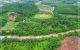 thum-8718154_kR08CsX1lt_1656663261.jpg
