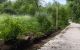 thum-8719513_z2N34vtVal_1656730004.jpg