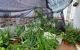 thum-8720144_tayYdoiZ7n_1656750676.jpg