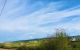 thum-8720152_nMuYgqmxoO_1656750873.jpg