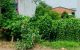 thum-8720280_bVikpwTo3K_1656757236.jpg