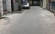 thum-8720408_scDPQCw3FU_1656770039.jpg