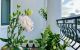 thum-8720462_JZ3EAaPFOi_1656775407.jpg