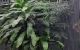 thum-8721723_C5KahivLD2_1656825935.jpg