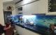 thum-m_rixQckEpUo_1656943878.jpg