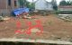 thum-8725551_TWwLF4BjHR_1656995185.jpg