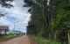 thum-8725725_NmB4gk82xG_1657000970.jpg