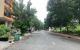 thum-8726419_gXvnRHAYO7_1657018022.jpg