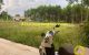 thum-m_qsw1KJXUmR_1657097059.jpeg