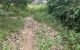 thum-8730106_91P2E0yApK_1657165725.jpg