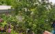 thum-8730184_playnSDiPv_1657167077.jpg
