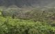 thum-8730820_1USmJvt9QC_1657183307.jpg