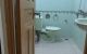thum-8730948_8baXhosSr9_1657187752.jpg