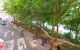 thum-8731041_i9TaSYU0Qj_1657201783.jpg