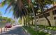 thum-8731123_NGMzDFhB7e_1657208545.jpg