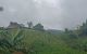 thum-m_4W7DuX8LcC_1657164954.jpg