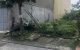 thum-m_H9lxBwKOCT_1657195992.jpg