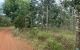 thum-m_XyBhopJEY1_1657165717.jpg