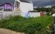 thum-m_tGfreYaPQx_1657181618.jpg