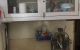 thum-8733104_lEomV85UYW_1657288522.jpg