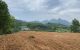 thum-m_1YKSfHPwyV_1657242258.jpg