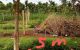 thum-m_LpHtPAVgz4_1657350533.jpg