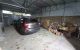 thum-m_ZP1IOJfcNS_1657374893.jpg