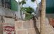thum-m_k4bOR7YKmN_1657350459.jpg