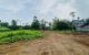 thum-8735698_7OfDjXGihA_1657414354.jpg