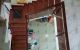 thum-8735708_goUMNA1VQk_1657415944.jpg