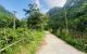 thum-8736129_IStX7J0OL1_1657450801.jpg
