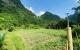 thum-8736129_PrOmzx2GRX_1657450793.jpg