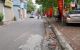 thum-8736159_ElbJiAMH71_1657457991.jpg